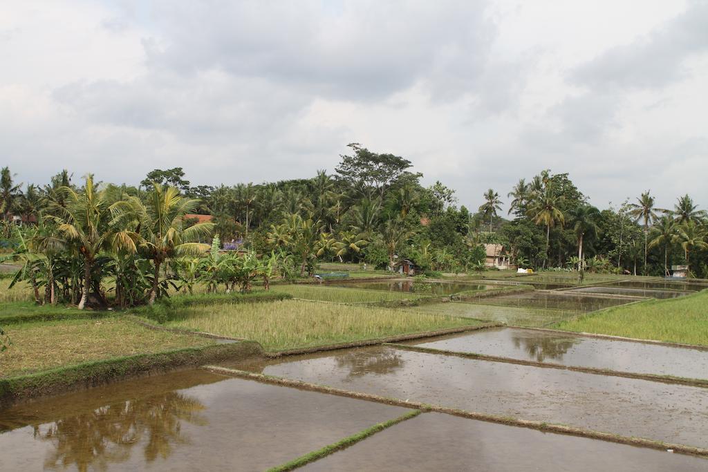 Villa Kami Ubud Zewnętrze zdjęcie
