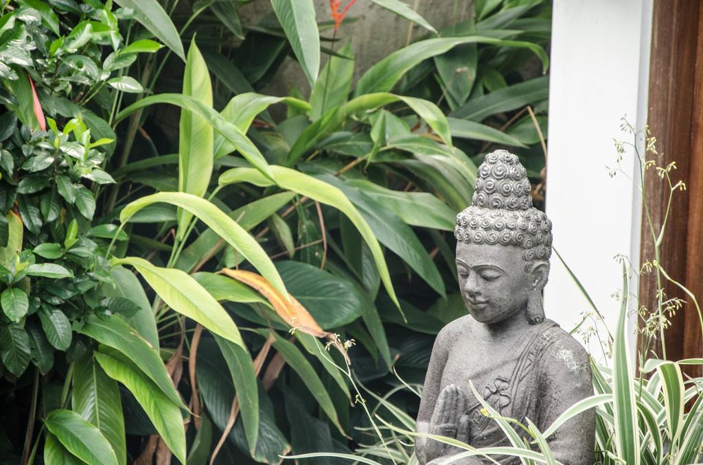 Villa Kami Ubud Zewnętrze zdjęcie