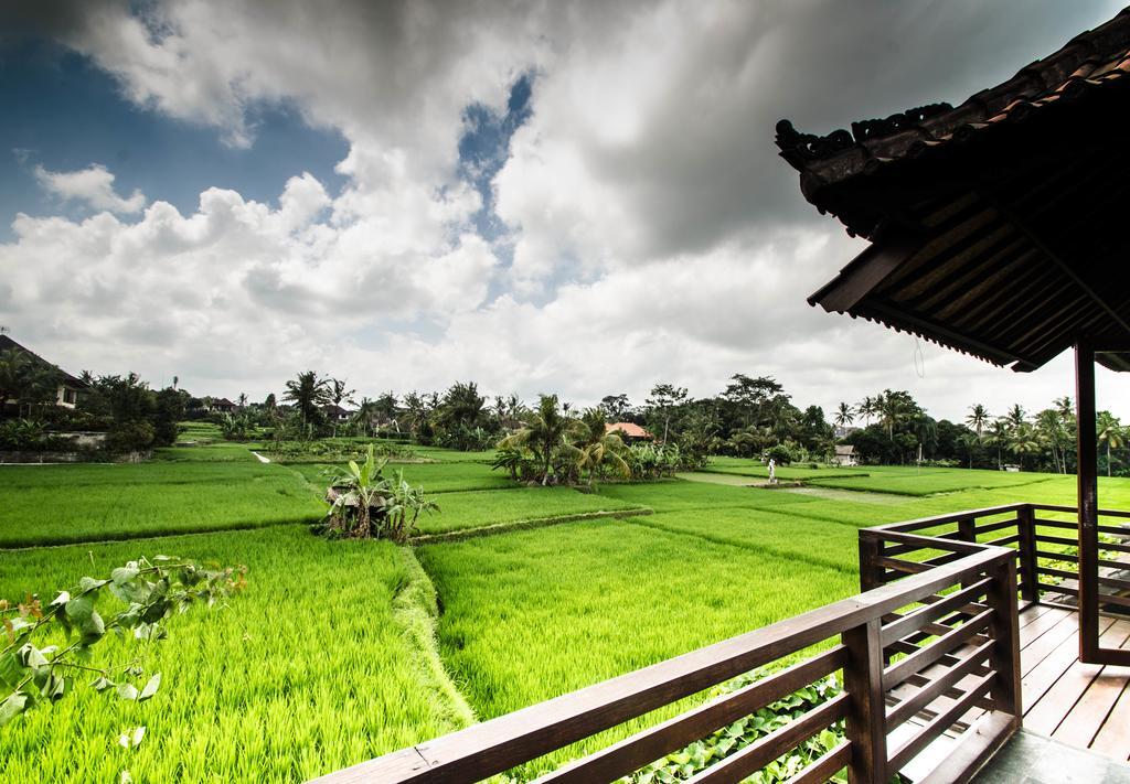 Villa Kami Ubud Zewnętrze zdjęcie